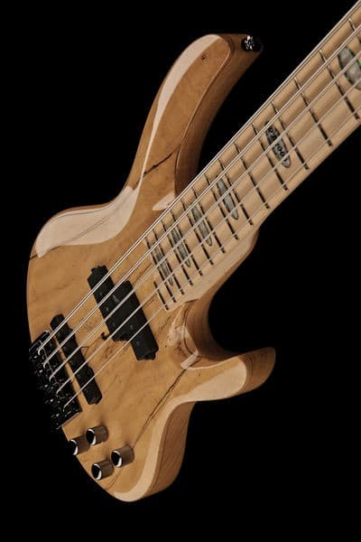 Ηλεκτρικο Μπασο (ESP LTD RB-1005 SM NAT) 1039€ @ Thomann