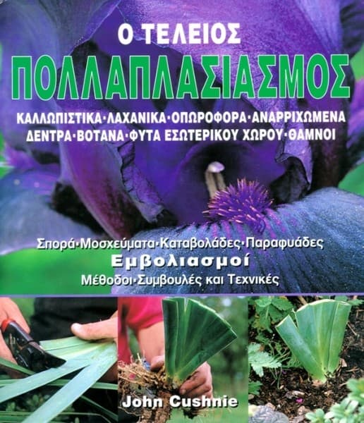 Βιβλίο Ο ΤΕΛΕΙΟΣ ΠΟΛΛΑΠΛΑΣΙΑΣΜΟΣ | e-shop.gr