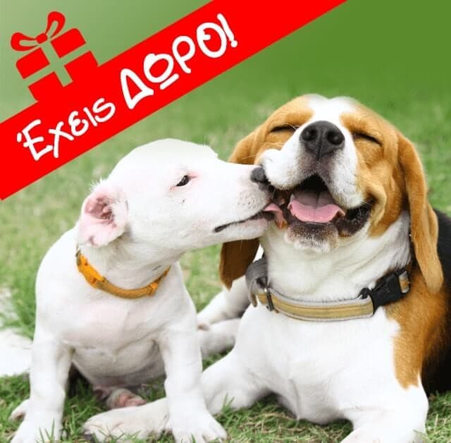 Έκπτωση 8€ για αγορές από 40€ στο Pet City