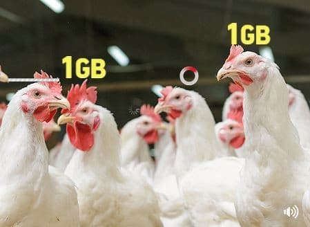 1GB Δώρο για 2 ημέρες σε συνδρομητές What’s Up