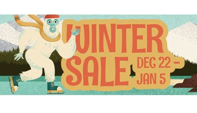 The Steam Winter Sale (PC Games)