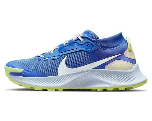 Nike Pegasus Trail 3 GORE-TEX