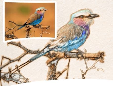 Δωρεάν (από 79$) και για lifetime χρήση το SoftOrbits Sketch Drawer Pro 11, sharewareonsale.com