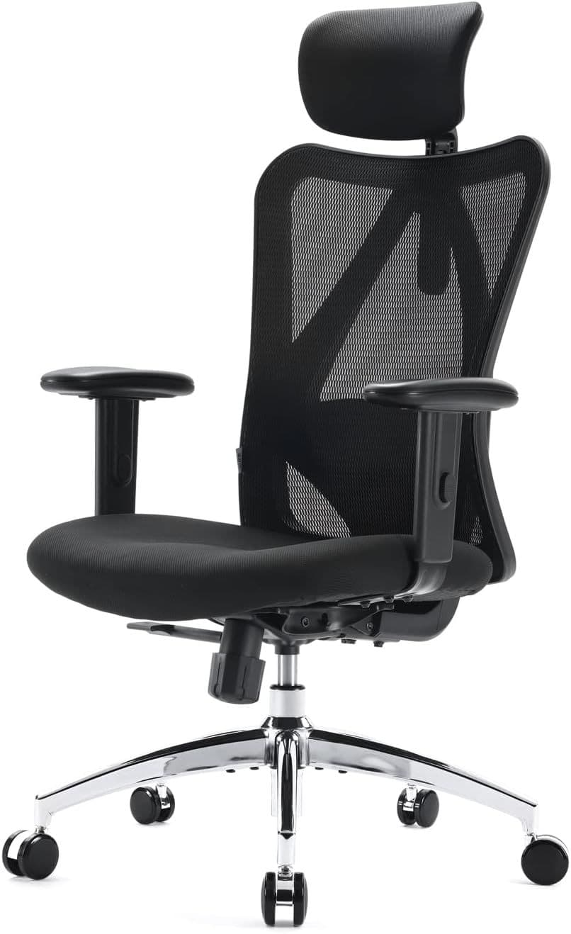 SIHOO M18 Office Chair, Ergonomic Computer Chair with Adjustable Headrest and Lumbar Support