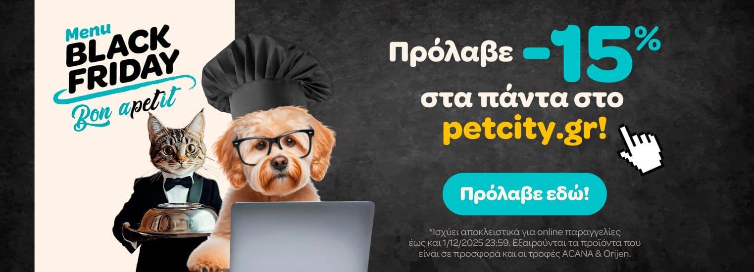 your-uplaod