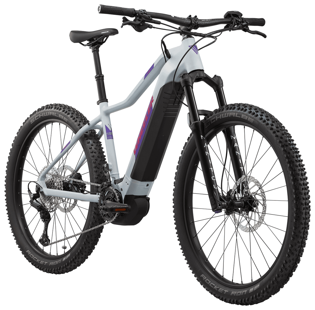 e-bike WHEELER i-LEEN SE