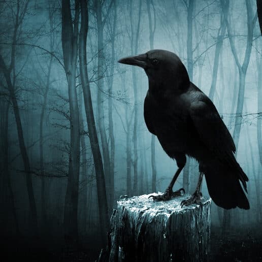 darkentia