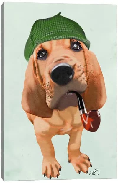 bloodhound4912
