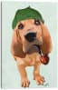bloodhound4912