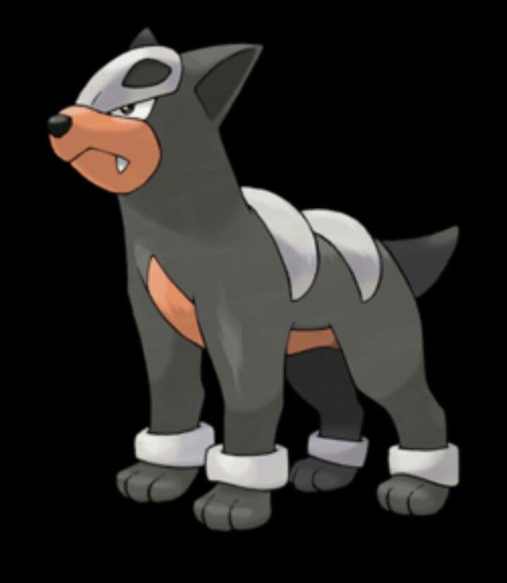 houndour