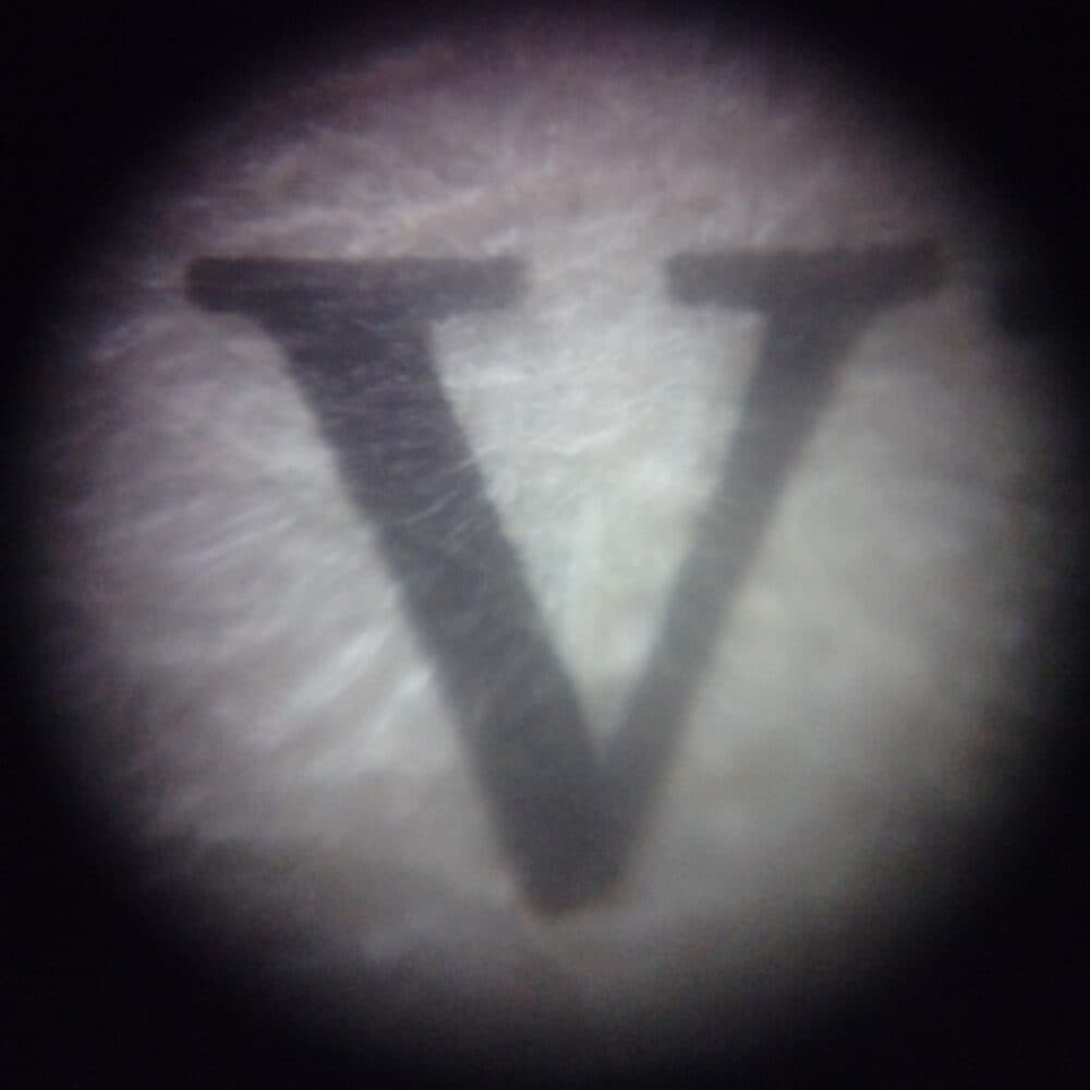 vasta