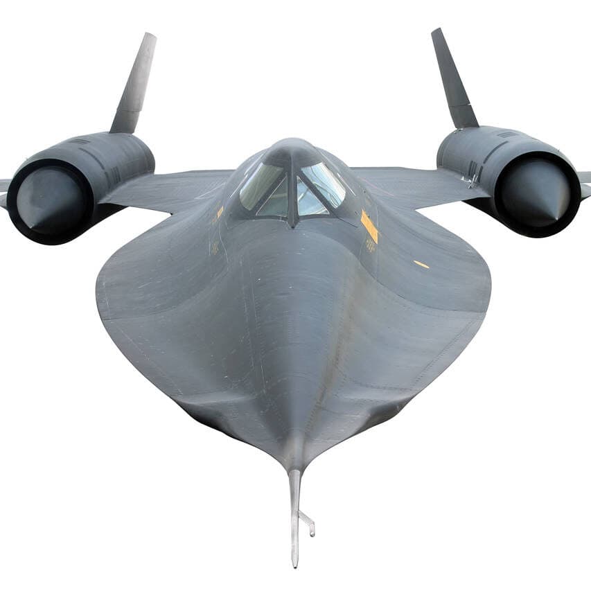 blackbird