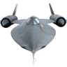 blackbird