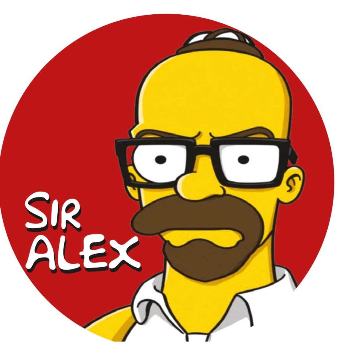 homer66