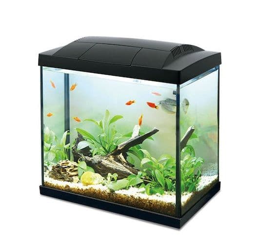 Ενυδρείο Ψαριών Hailea 45lt με 62.16€ και 60lt με 88.13€ από petamazon